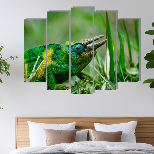 5 Panel Wall Art with Jackson's Three-horn Chameleon Photo