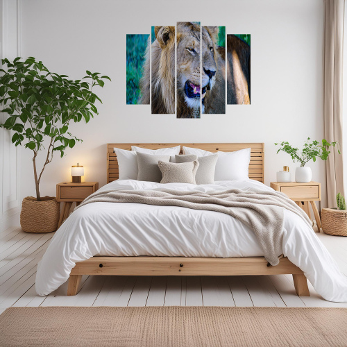 5 Panel Wall Art with Young Male Lion Photo